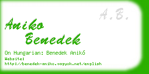 aniko benedek business card